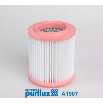 Filtre à air PURFLUX A1907
