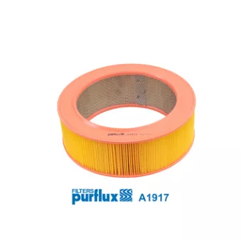 Filtre à air PURFLUX A1917