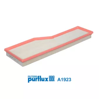 Filtre à air PURFLUX A1923