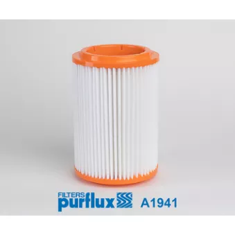 Filtre à air PURFLUX A1941