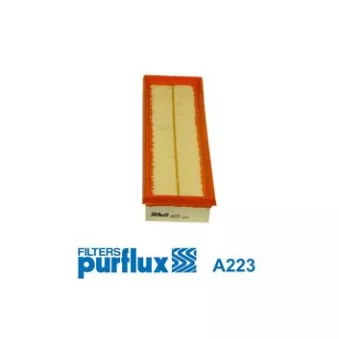 Filtre à air PURFLUX A223