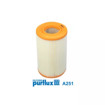 Filtre à air PURFLUX A251