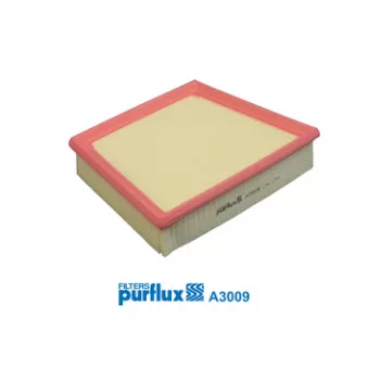 Filtre à air PURFLUX A3009