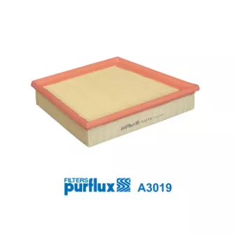 Filtre à air PURFLUX A3019