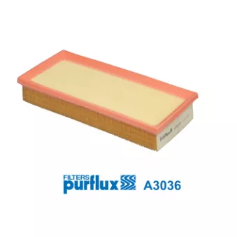 Filtre à air PURFLUX A3036
