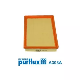 Filtre à air PURFLUX A303A