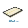 Filtre à air PURFLUX A3076 - Visuel 2