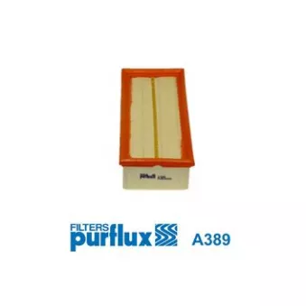 Filtre à air PURFLUX A389