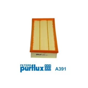 Filtre à air PURFLUX A391