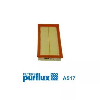 Filtre à air PURFLUX A517