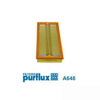 Filtre à air PURFLUX A648