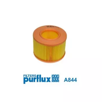 Filtre à air PURFLUX A844