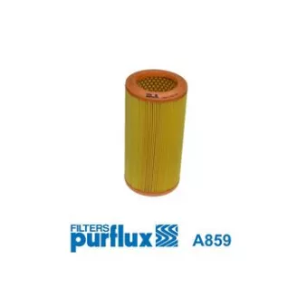 Filtre à air PURFLUX A859