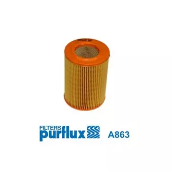 Filtre à air PURFLUX A863