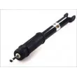 Jeu de 2 Amortisseurs arrière MAGNUM TECHNOLOGY AG0322MT - Visuel 2