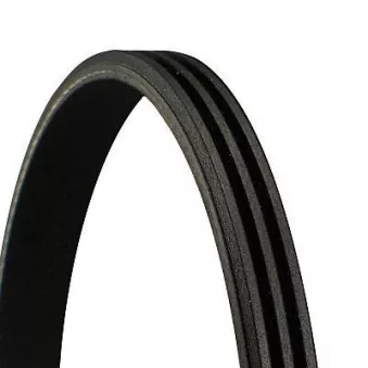 Courroie trapézoïdale à nervures CONTITECH 3PK817 ELAST
