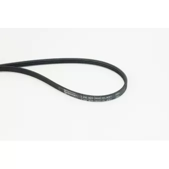 Courroie trapézoïdale à nervures CONTITECH 3PK823 ELAST