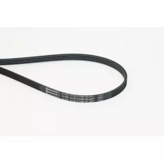 Courroie trapézoïdale à nervures CONTITECH 4PK1119 ELAST