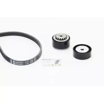 Jeu de courroies trapézoïdales à nervures CONTITECH 4PK1538K1