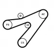 Jeu de courroies trapézoïdales à nervures CONTITECH 4PK1538K1 - Visuel 2