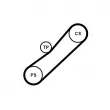 Jeu de courroies trapézoïdales à nervures CONTITECH 4PK905K1 - Visuel 2