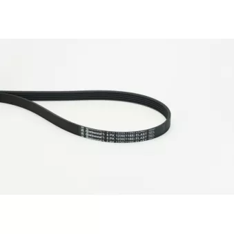Courroie trapézoïdale à nervures CONTITECH 5PK1230 ELAST