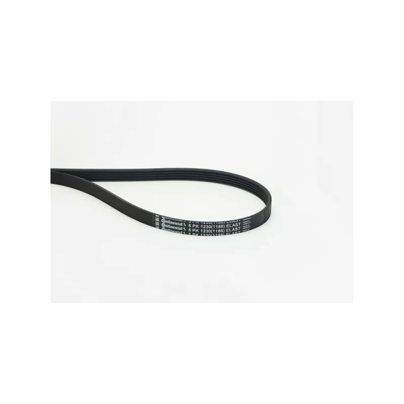 Courroie trapézoïdale à nervures CONTITECH 5PK1230 ELAST