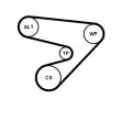 Jeu de courroies trapézoïdales à nervures CONTITECH 5PK1230K1 - Visuel 2