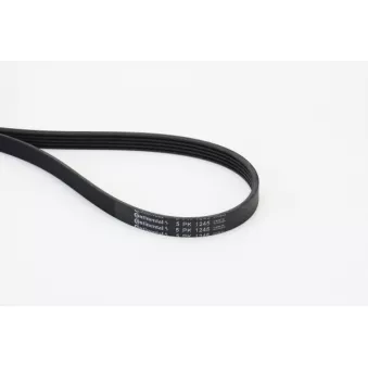 Courroie trapézoïdale à nervures CONTITECH 5PK1245