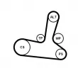 Jeu de courroies trapézoïdales à nervures CONTITECH 5PK1300K1 - Visuel 2