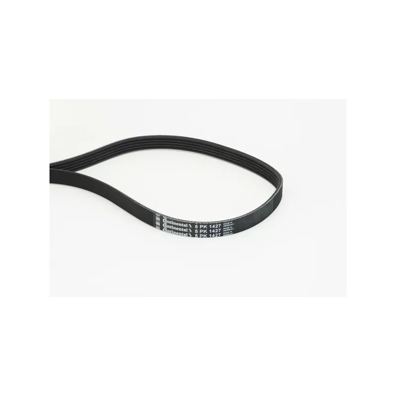 Courroie trapézoïdale à nervures CONTITECH 5PK1427
