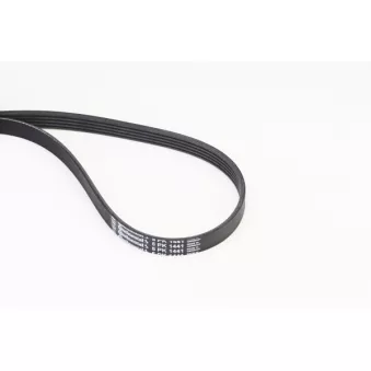 Courroie trapézoïdale à nervures CONTITECH 5PK1441