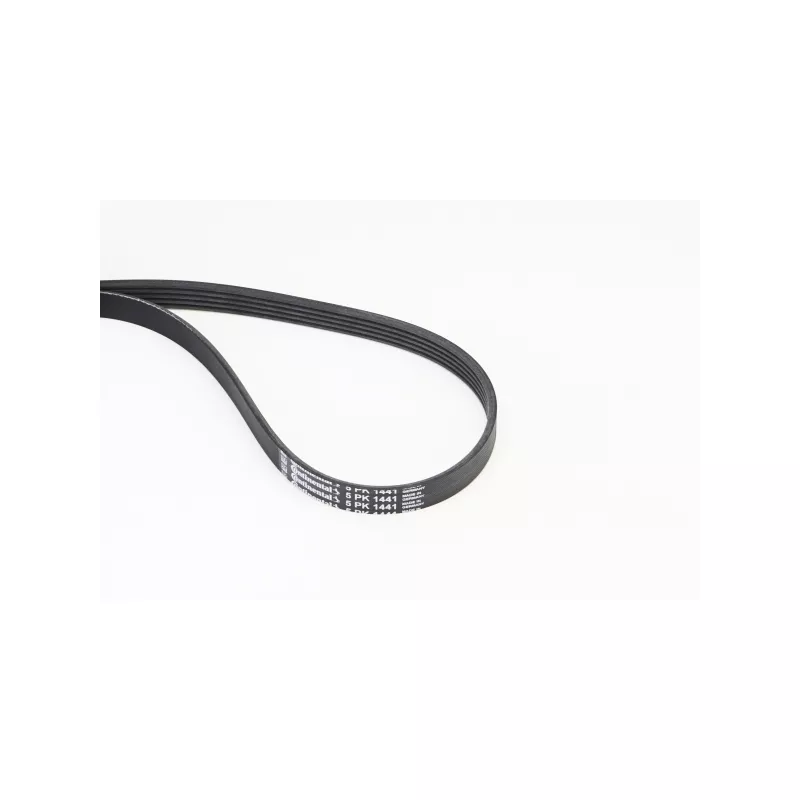Courroie trapézoïdale à nervures CONTITECH 5PK1441