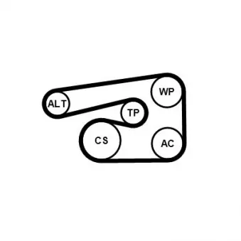 Jeu de courroies trapézoïdales à nervures CONTITECH 5PK1546K1