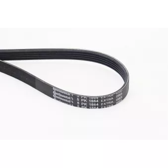 Courroie trapézoïdale à nervures CONTITECH 5PK1664 EXTRA