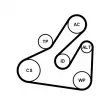 Pompe à eau+Jeu de courroie trapézoïdale à nervures CONTITECH 5PK1745WP1 - Visuel 2
