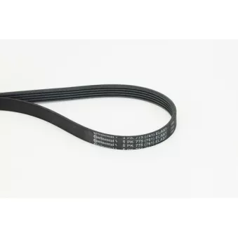 Courroie trapézoïdale à nervures CONTITECH 5PK775 ELAST