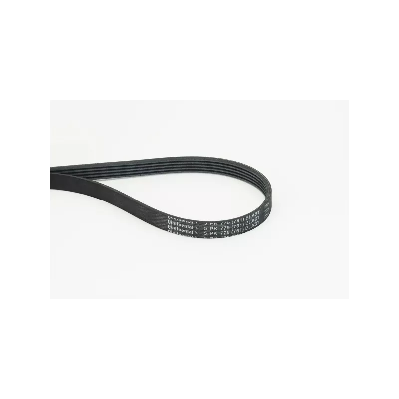 Courroie trapézoïdale à nervures CONTITECH 5PK775 ELAST