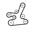 Pompe à eau+Jeu de courroie trapézoïdale à nervures CONTITECH 6DPK1817WP1 - Visuel 1