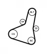 Jeu de courroies trapézoïdales à nervures CONTITECH 6PK1004 EXTRA K1 - Visuel 2