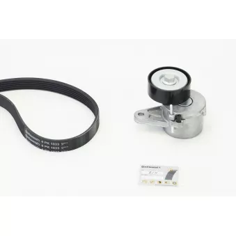 Jeu de courroies trapézoïdales à nervures CONTITECH 6PK1033K1