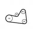 Jeu de courroies trapézoïdales à nervures CONTITECH 6PK1033K1 - Visuel 3
