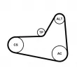 Jeu de courroies trapézoïdales à nervures CONTITECH 6PK1045K4 - Visuel 3
