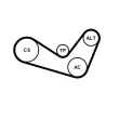 Jeu de courroies trapézoïdales à nervures CONTITECH 6PK1050K1 - Visuel 2