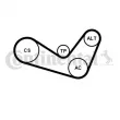 Jeu de courroies trapézoïdales à nervures CONTITECH 6PK1050K2 - Visuel 2