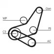 Jeu de courroies trapézoïdales à nervures CONTITECH 6PK1059 ELAST T2 - Visuel 2