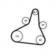 Jeu de courroies trapézoïdales à nervures CONTITECH 6PK1073 EXTRA K1 - Visuel 2
