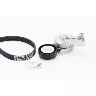 Jeu de courroies trapézoïdales à nervures CONTITECH 6PK1120K1