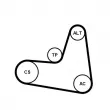 Jeu de courroies trapézoïdales à nervures CONTITECH 6PK1120K2 - Visuel 2