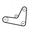 Jeu de courroies trapézoïdales à nervures CONTITECH 6PK1130K3 - Visuel 2